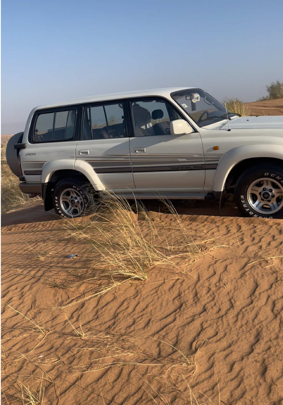 يعتمد على نفسه .. ذيب و مايخونك  #القصيم #عنيزة_باريس_نجد #الغضا #landcruiser #80series 