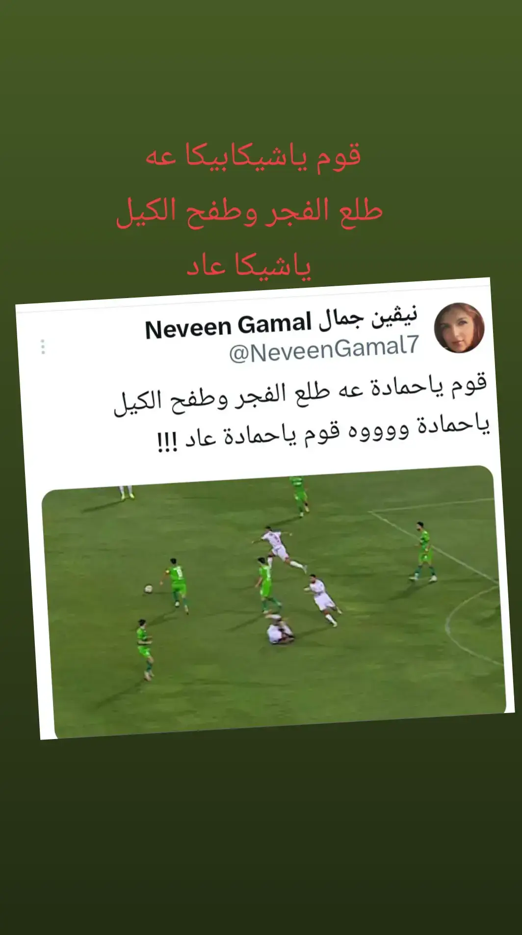 #نيفين_مع_الاهلي #نيفين_جمال #شيكابالا 