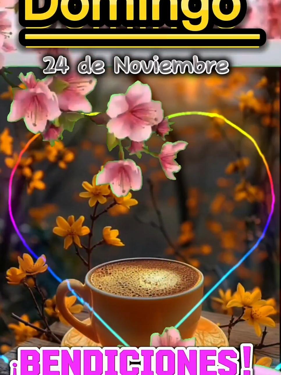 Buenos Días! Feliz Domingo 24 de Noviembre! #buenosdias #buenosdiasmundo #felizdia #felizdomingo 