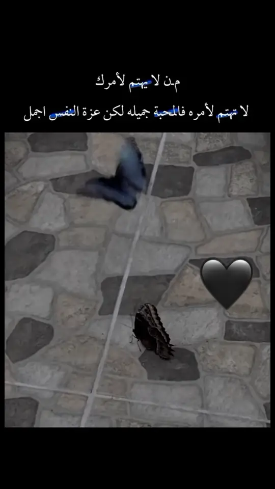 عامل كما تعامل 🌝#اكسبلورexplore #الجميع #تصاميم_فيديوهات #الجميع #fypシ゚ #fypシ゚viral🖤video #أقتباسات #عباراتكم #أختارو #