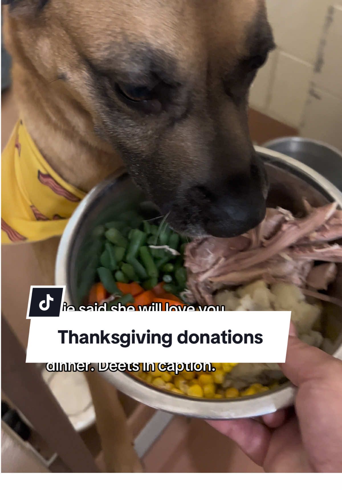 Looking for donations of carrots, pumpkin, sweet potato, corn (no cobb), greens beans, apples (no seeds), and cheese. You can drop them by 1736 E. 7th Ave., Kennewick, Washington. #thanksgiving #shelterdogsrock #adoptashelterdog #rescuedismyfavoritebreed #tricitieswa 