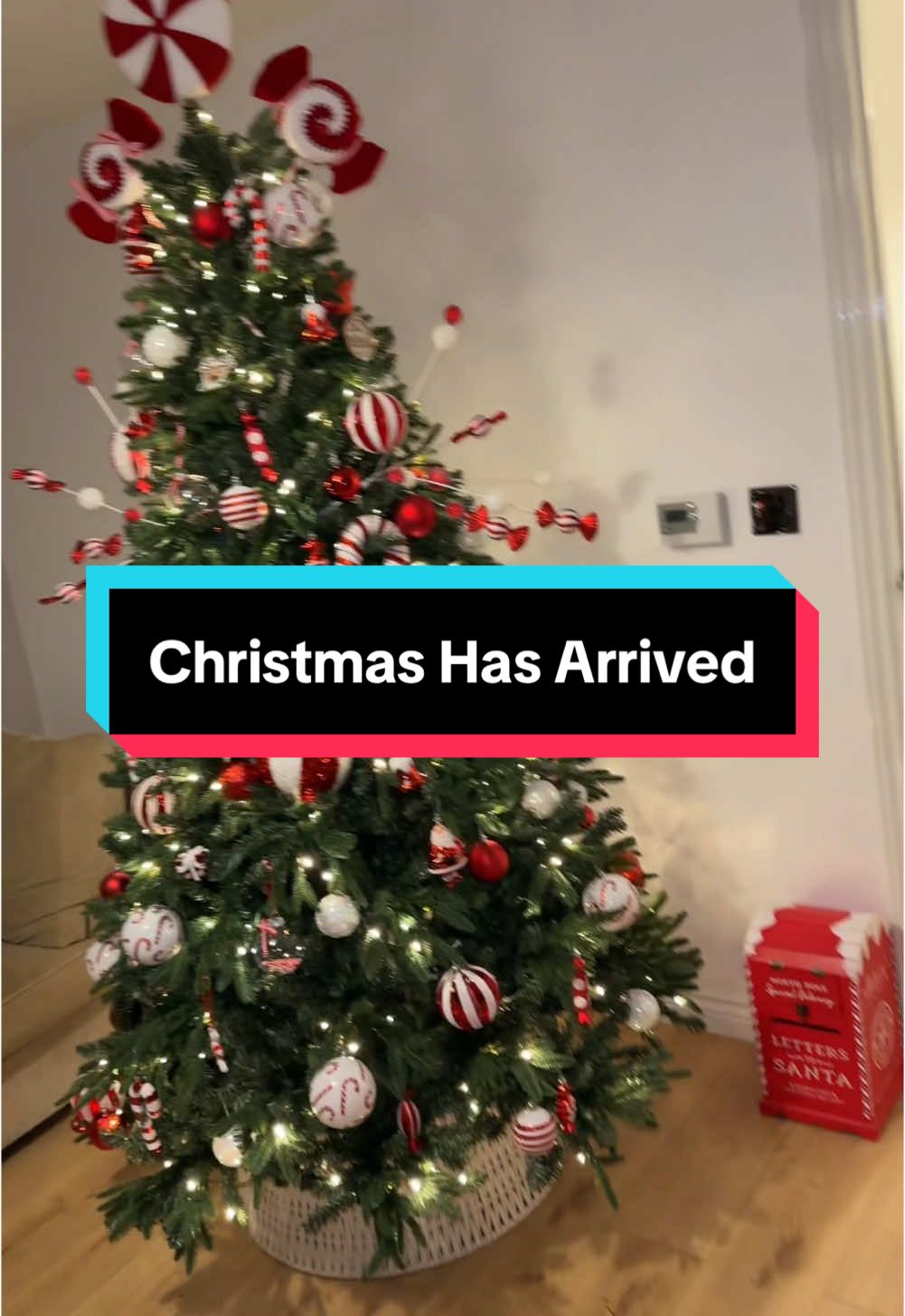 Christmas has arrived in our household 🎄 #christmas 