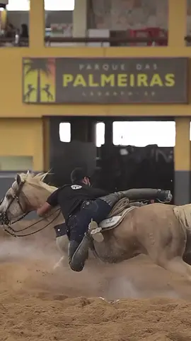 As disputas seguem no 22° Potro do Futuro & Campeonato Nacional ABQM de Vaquejada 2024, Parque das Palmeiras, em Lagarto/SE, com R$ 1.000.000,00 em prêmios!