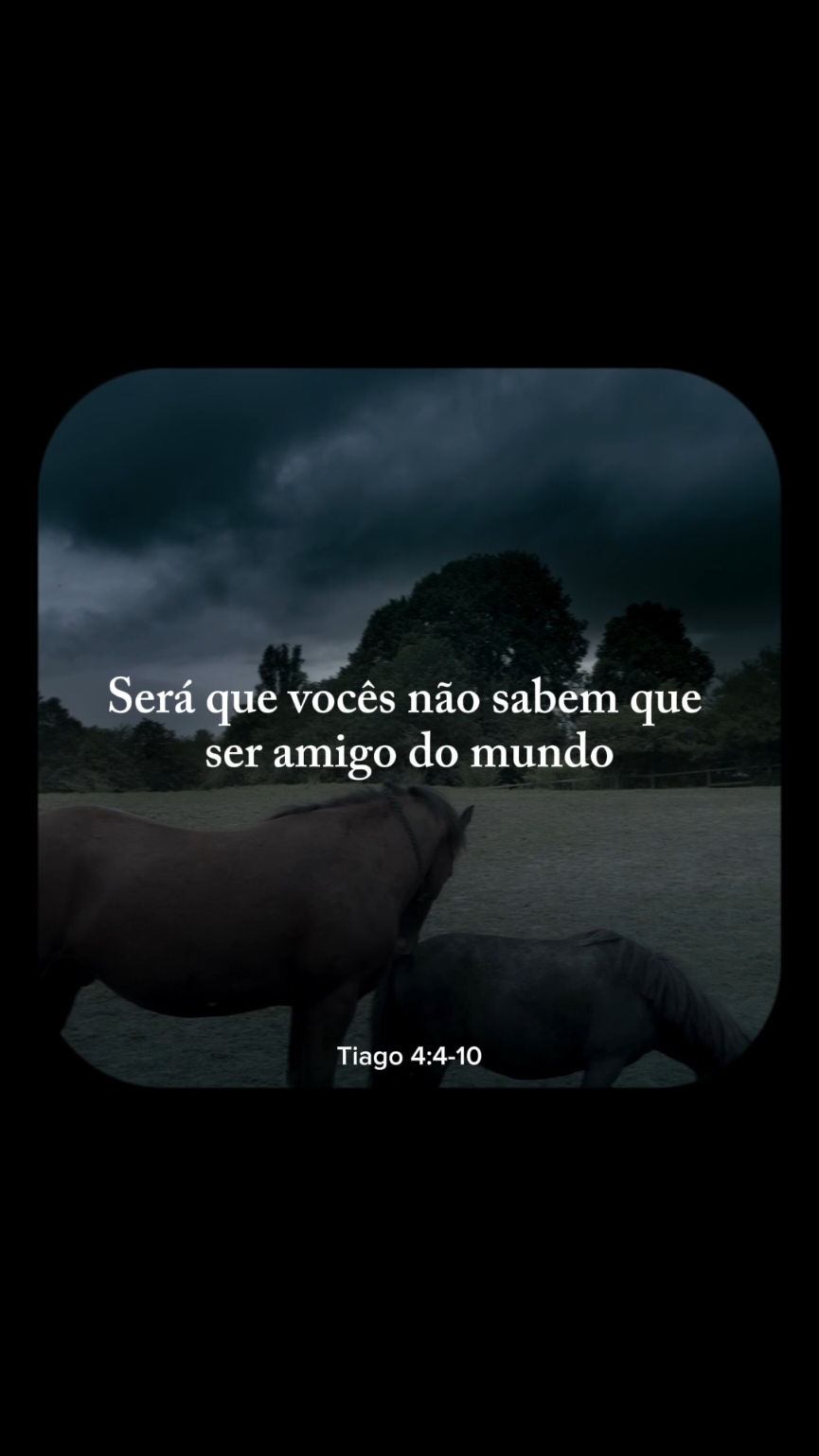 Espalhe o evangelho ✝️🤍 #fy #salmos #biblia #Deus #jesus 