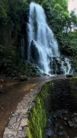 I just wanna straight shower under this waterfall 😮‍💨🚿… | 📍Azores island  | 📷 more beautiful places @giuliogroebert  | 🚐 exploring the world w/ @elena_wuest  | #azores #açores #nature #waterfall #landscape #azoresislands #lake #travel