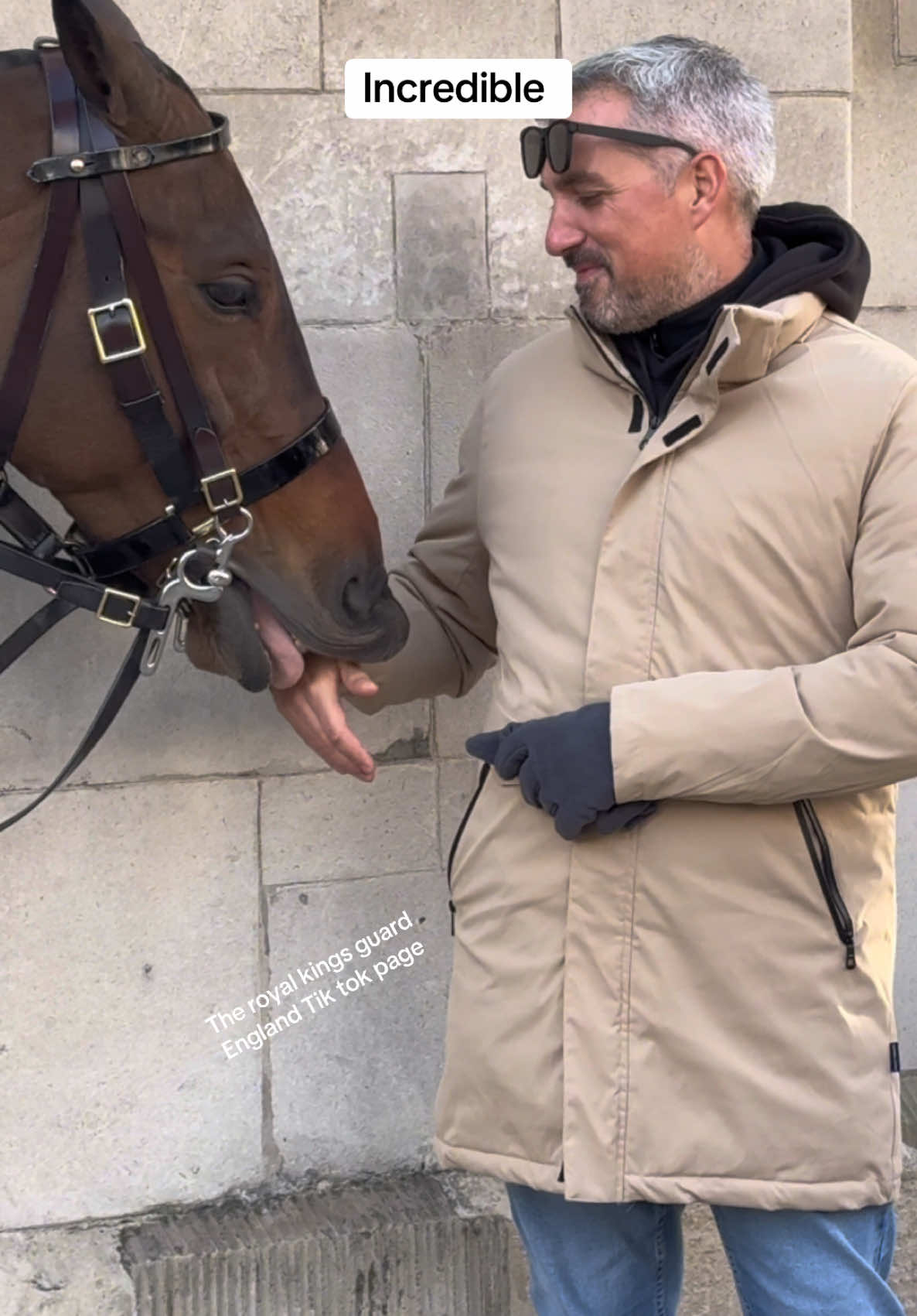 The Enigmatic Affections of a Noble Steed** #TikTok #ForYou #HorseGuards # #NobleSteed #HorseAffections #EquineMystique #AnimalLovers #HorseWhisperer