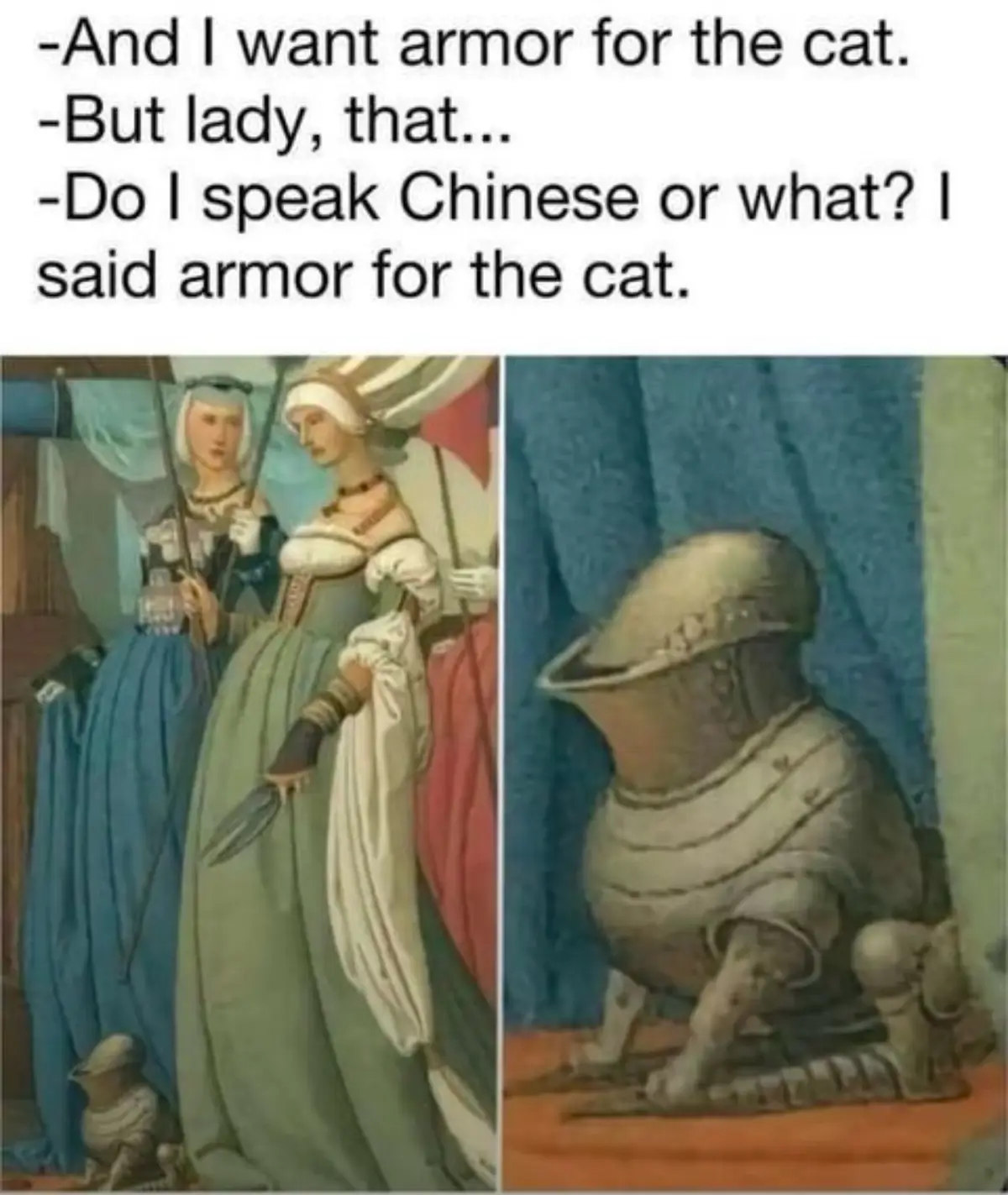 Honestly, l'd give the cat armor too.#viral #trending #fyp 