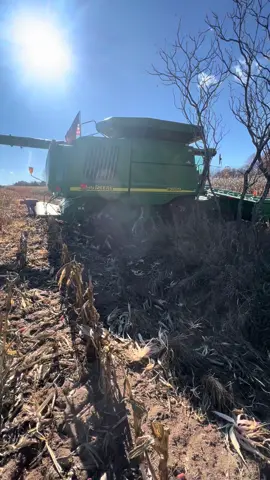 A little #sunkitsaturday. My one and only time getting the combine stuck — November 2023. #farmtok #michiganfarmer #michigancorn #stuckjohndeere #remembrancefarmsllc 