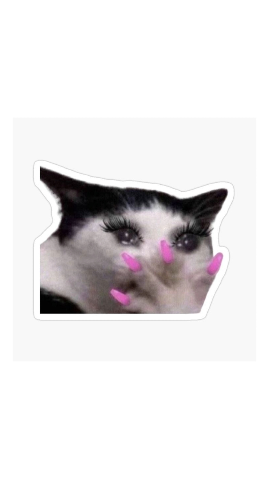 meme cat stickers>>> #xybca #viral #4u #actives #parati #nordicstyle #stickers #catstickers #memesticker #meme 