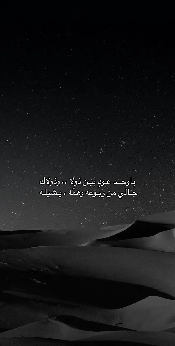 #قصيد #شعراء_وذواقين_الشعر_الشعبي #شعر #شاعر_الراية #اكسبلور #الخبر 