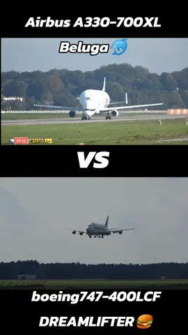 Dolphin plane🐬 vs fat plane🍔