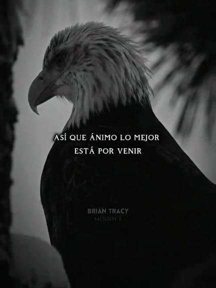 Lo Mejor Siempre Llega. #briantracy #motivation #inspiraciondiaria #paratiiiiii 