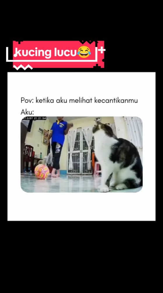 #fypシ #lewatberandafyp #lewatberanda #vidioviraltiktok #viral #kucinglucu #vidioig 