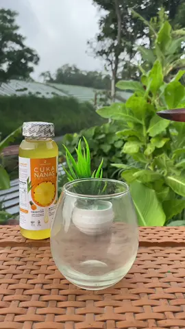 37 ribu 2 botol cuka nanas with mother #cukananas #cukananaswithmother #manfaatcukananas #nanas #tiktokshopindonesia 
