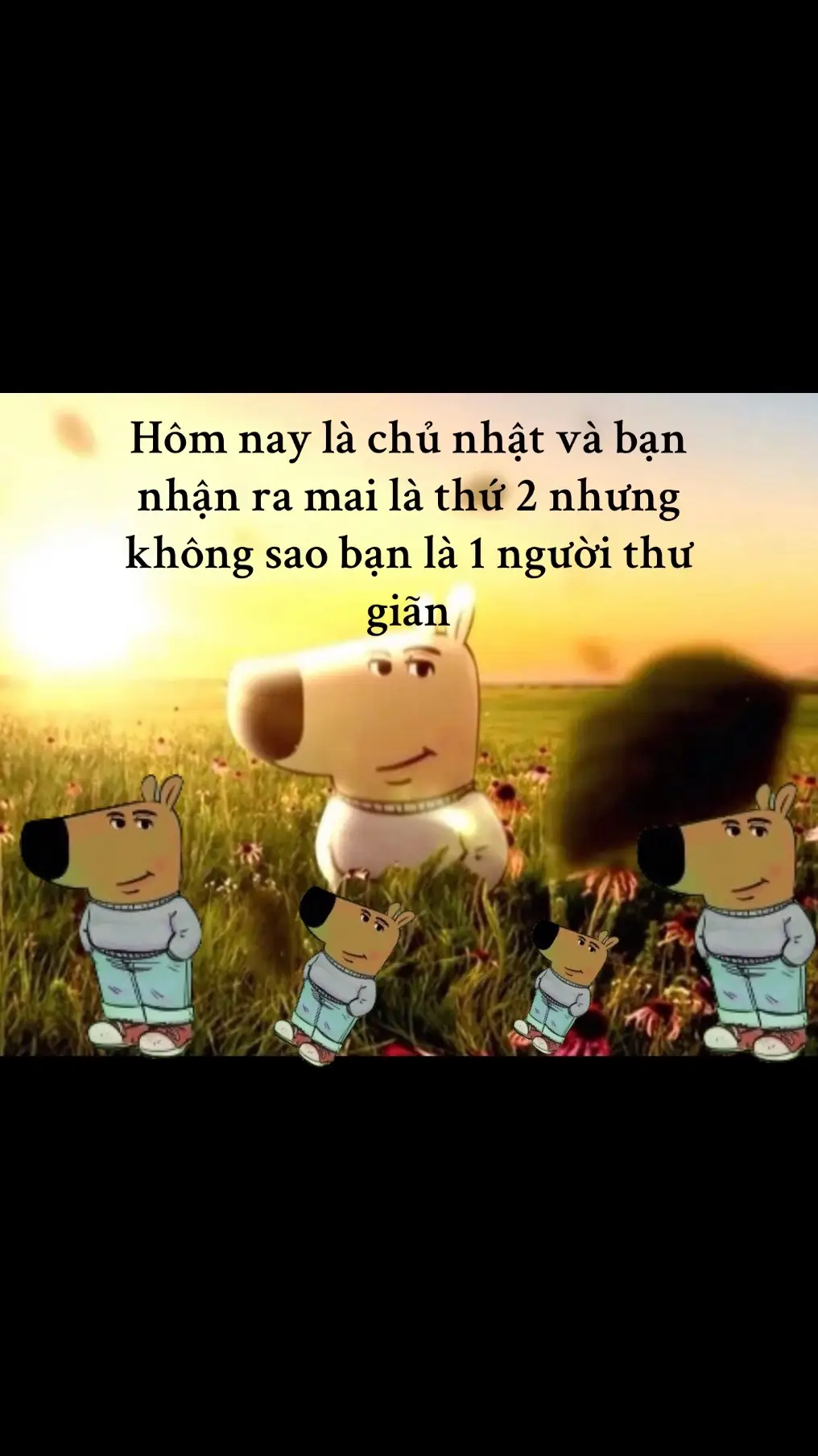 Chủ nhật gần thứ 2 nhưng thứ 2 lại xa chủ nhật#meme #chillguy #chill 