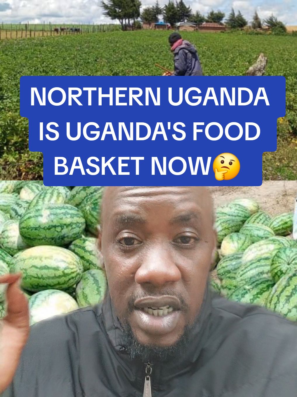 Replying to @wilfredoducha NORTHERN UGANDA IS UGANDA'S FOOD BASKET NOW #cerealsuganda #fyp #cerealsbusiness #uganda #saudiarabia #unitedarabemirates #kenya #viral #tik_tok #cerealsuganda2 #dubai #businessidea 