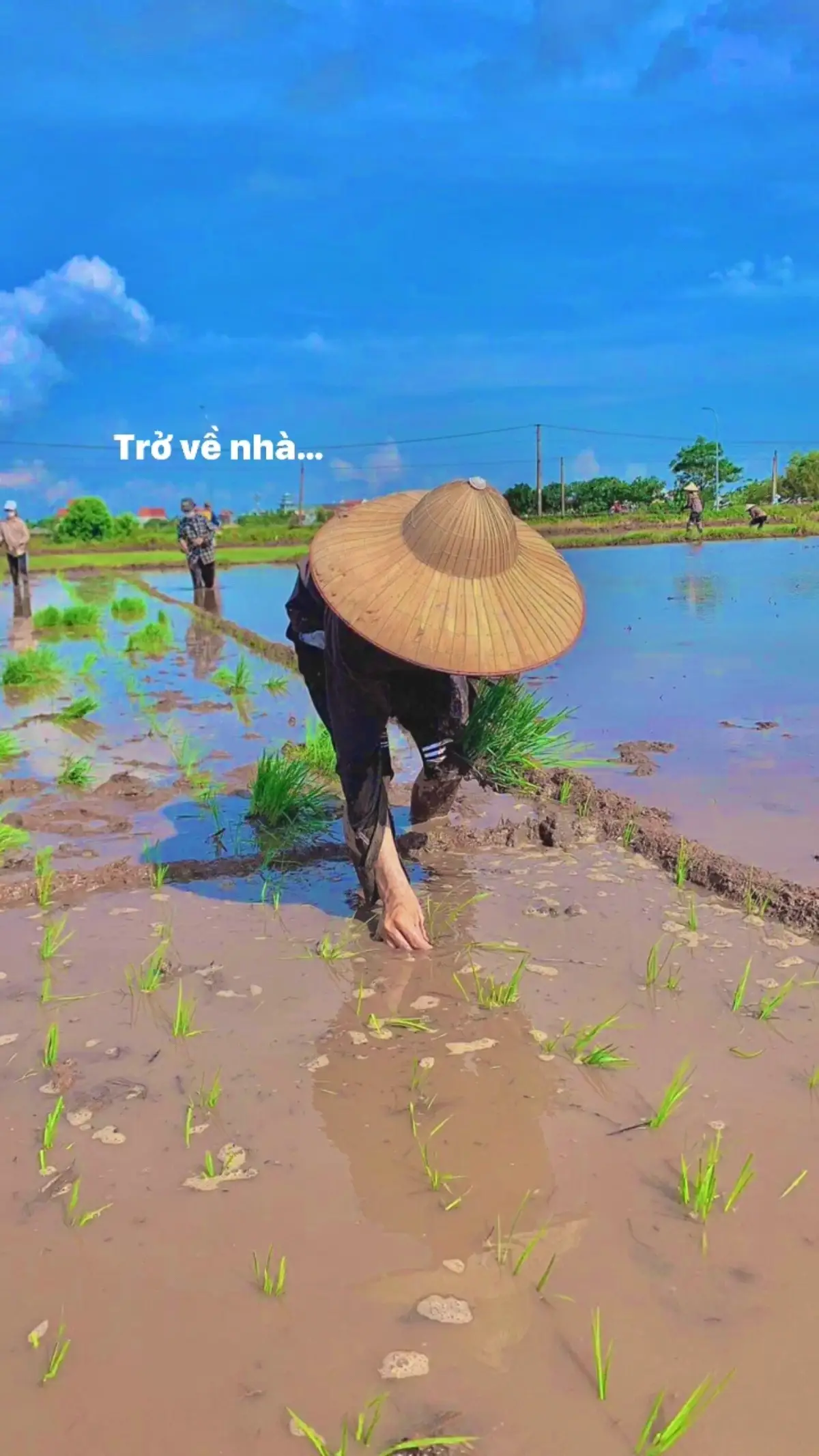 Về nhà thui🫶