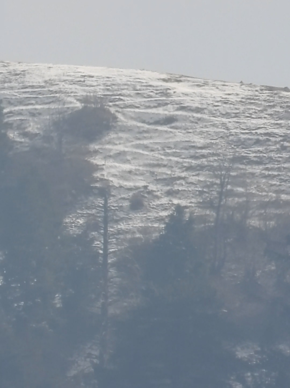 Snowfall 24/11/2024 s25Ultra zoom#viralvideo 