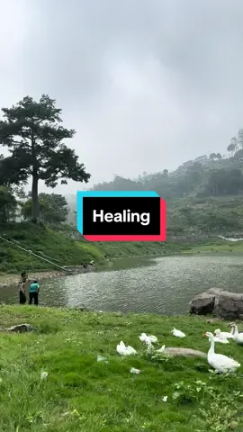 HTM Free ga kayak yang viral2 💆🏻‍♂️🍃 #magetan #sarangan #telagasarangan #viral #fyp #fy #wisata ##jawatimur #healing #nature 
