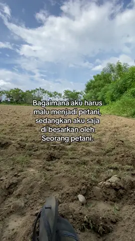 😇#katakatamotivasi #foryou #fypdongggggggg #storywhatsapp #storywakerenシ #storykatakataaesthetic #katakatabijak #petanimuda #fypシ #foryou 