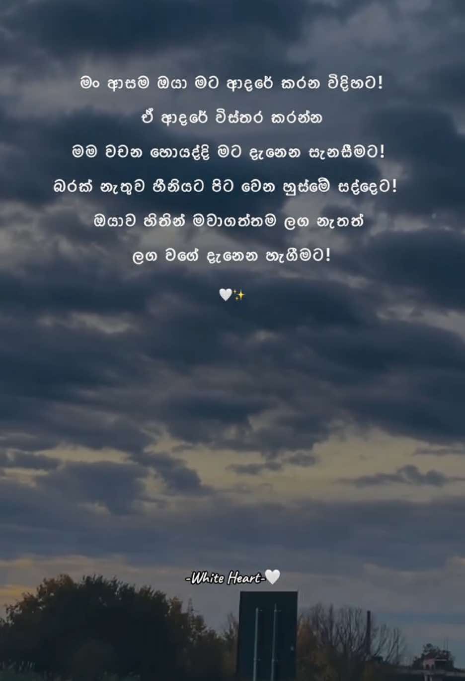 සැනසීම...🤍✨ #whiteheart🤍 #S #foryoupage #onemillionaudition #Love #viraltiktok #srilanka #trendingvideo #loveyou #couple #lovers #viws #sinhalaquotesシ @Her_comfort_07.25 