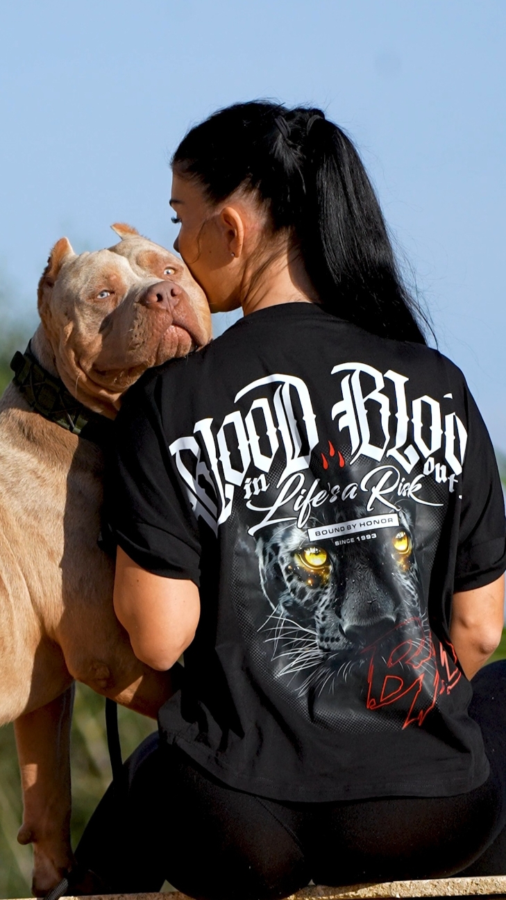 @Blood in Blood out @D.M Cars&Bikes @STRONGDOGS U.S. 👈👈👈👈👈👈👈👈#xxlamericanbully #bullyxxl #bully #xxlbully #xxlluxorbullys #xxlbully #xlamericanbully #xlbullies #foryour #merlebully 