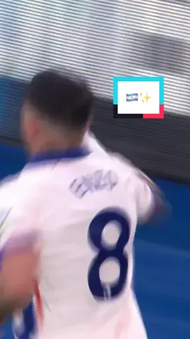 Oohhh Enzo Fernandez! #CFC #ChelseaFC #PremierLeague 