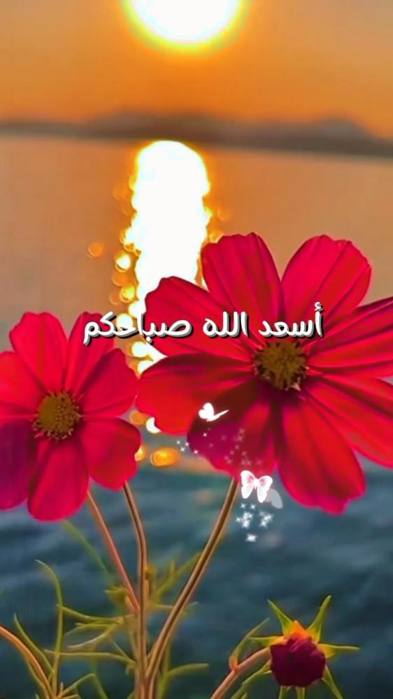 أسعد الله صباحكم بتاج الصحه والعافيه#صباح_الخير #راحة_نفسية #دعاء #يسعدلي__اوقاتڪۘم #اسعد_الله_جميع_اوقاتكم🌹🌹 #صباحكم_أحلى_صباح #صباحكم_معطر_بذكر_الله #fouryou #دعاء_جميل #paratiiiiiiiiiiiiiiiiiiiiiiiiiiiiiii #يسعدلي__اوقاتڪۘم #صباح_الخير #صباح #ورد #your_coffee #قهوه #يوم#الاحد #CapCut 