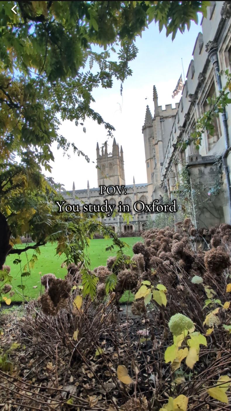 I thought I'd share with you all a little wander I took through Oxford over the weekend.  I was there to get back into the world of my book, and, just like every time I visit, it reminded me how magical and wonderful Oxford really is 😍 #oxford #oxforduniversity #writingcommunity #darkacademiaaesthetic #writingcommunity #oxfordstreet @University of Oxford @Magdalen College, Oxford 