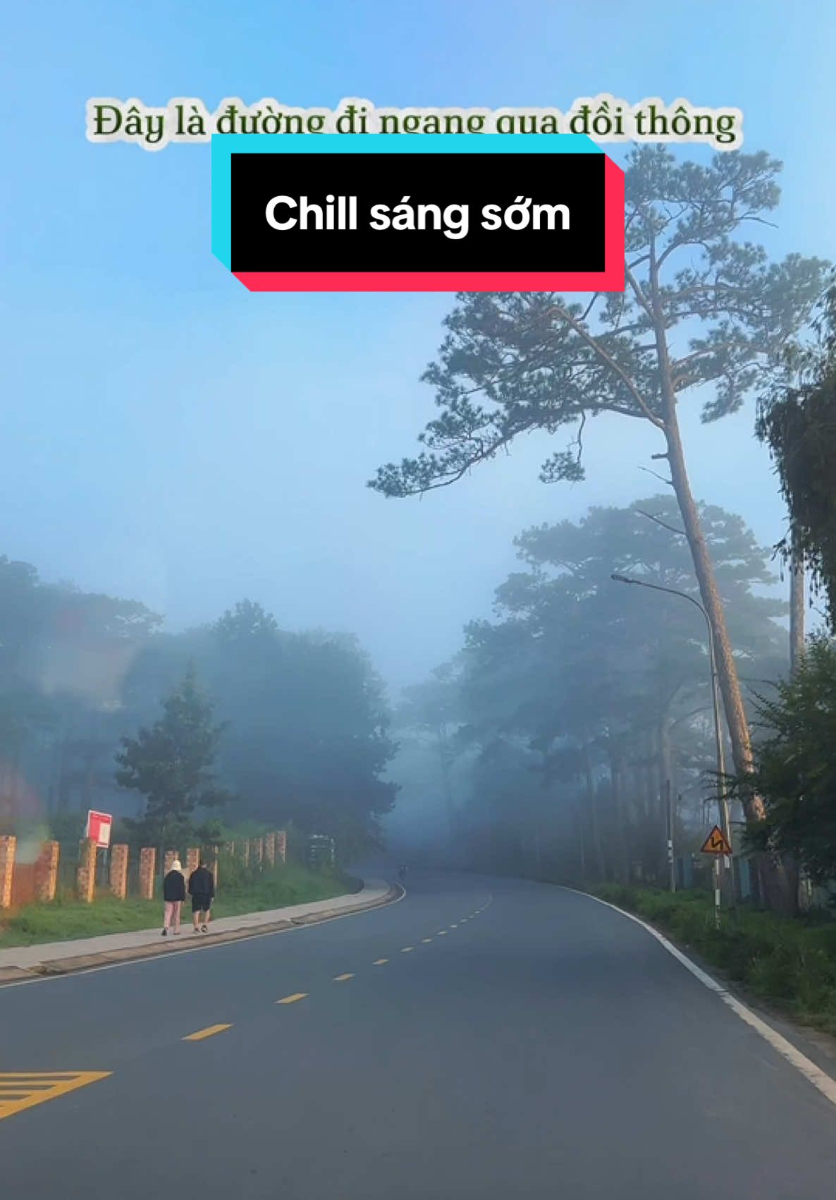 Đà Lạt sáng sớm tinh mơ rất yên bình và chill như thế này. Măng Đen và Đà Lạt đều có vẻ đẹp riêng, mọi người đừng so sánh nhé. #dalat #dalatreview #ongboreviewdalat #reviewdalat 