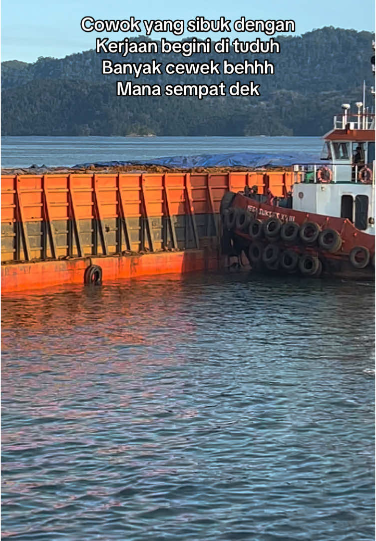 Capek aja kami tinggal tiidur😂#nangqweek🤡 #ashleigh07 #pelautmuda🚢⚓ #pelautmuda🚢⚓ #pelautindonesiatiktok #pelautbuton #pelautpunyacerita⚓ #pelautsulawesitenggara 