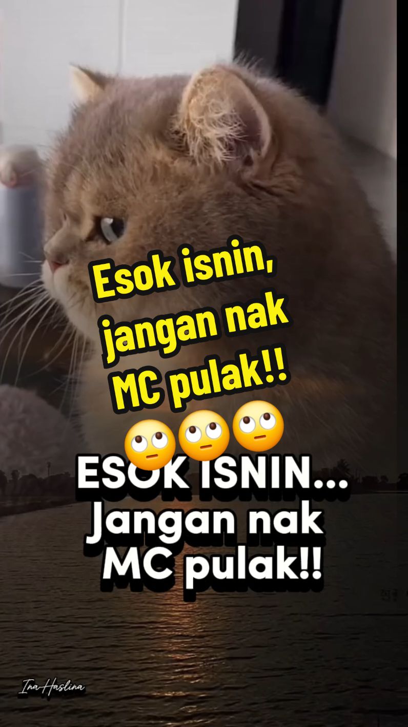 Asal isnin je MC, asal MC je isnin. Asal malas pi kerja hari Isnin, asal hari Isnin je malas pi kerja.. Buat company sendirilah senang🤣🤣🤣 #assalamualaikum #mudahterhibur #fyp