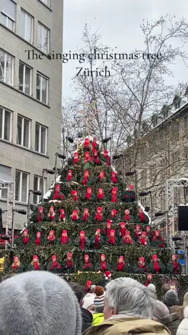 The singing chriatmas tree in Zürich☃️❄️🎄 #christmas #christmastime #christmasmarket #switzerland #zürich #singingtree #choir #snow #snowflakes #fun #citytrip #event #christmastiktok #christmascountdown #cute