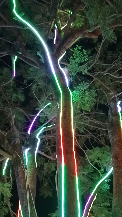 solar led rope light #solarchristmaslight #christmaslight  #fairylights #christmasdecor 