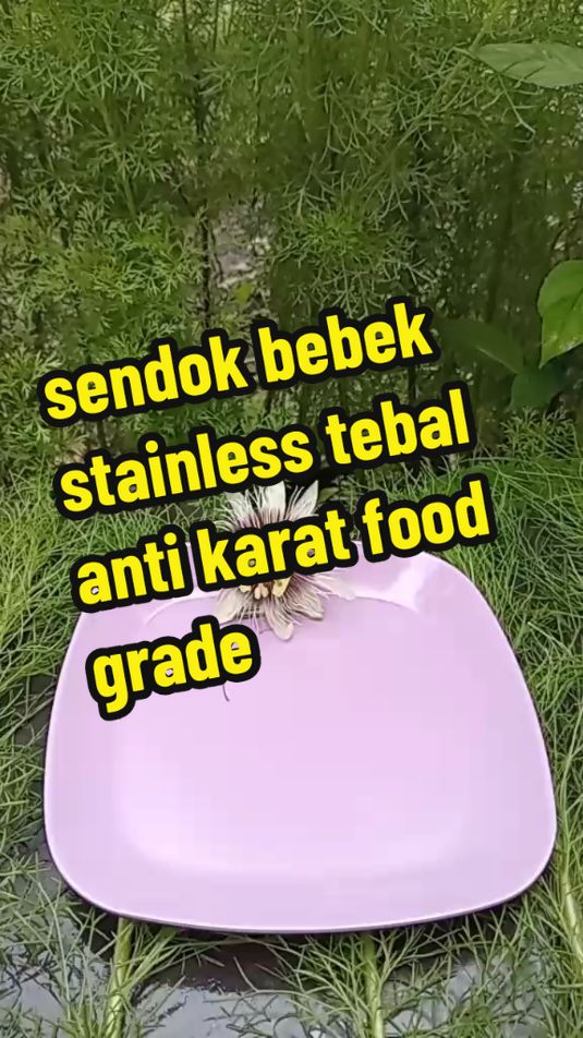 rekomendasi sendok bebek stainless tebal anti karat food grade #CuanTanpaBatas #wibgajian #sendok #sendokbebek #sendokmakan 