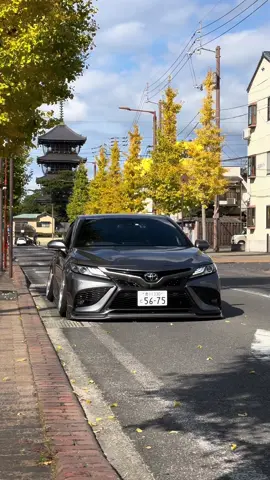 改めて紅葉と撮ったの今年が初めて🧐#toyota #camry #70camry #camry70 #axvh70 #camryws #トヨタ #カムリ #70カムリ #カムリ70 #カムリWS #エアサス #香川 