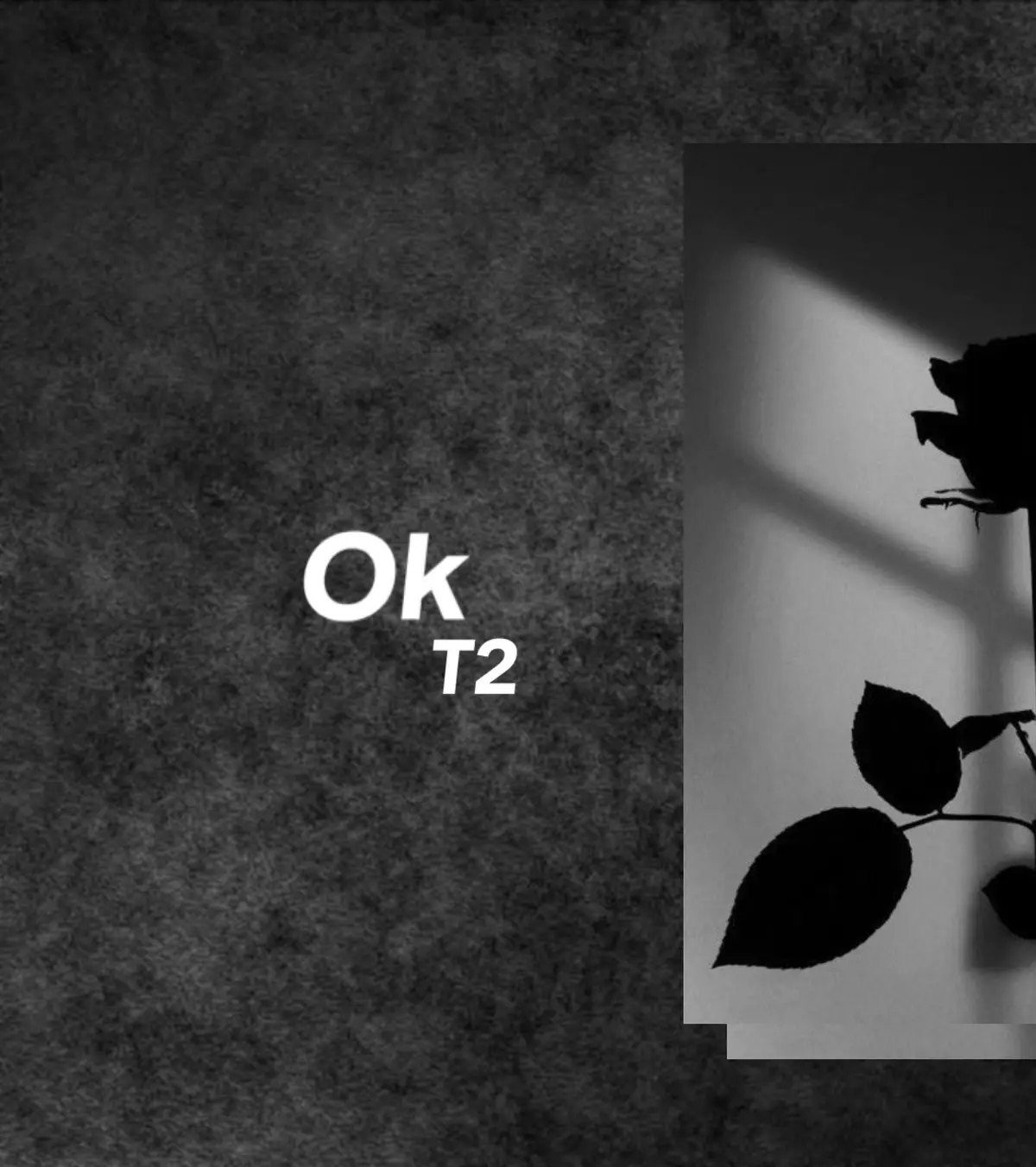 #ok #t2 #lyrics #ovelay #liriklagu 