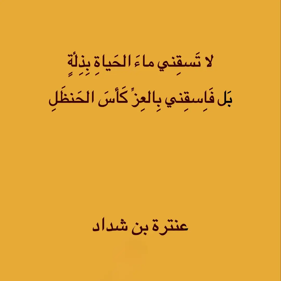 #دواوين #بلاغه_العرب #اللغة_العربية #شعر #قصيد #عنترة_بن_شداد 