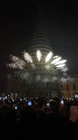 The awaited Christmas tree switch on in lisbon last night 😍✨🎄❤️ #lisbon #lisboa #lisbonne #lisbontravel #christmas #christmascountdown #christmasiscoming #christmas2024 #festive #natal #christmastree #fyp #viral #portugal🇵🇹 #portugalviral #christmaslights 