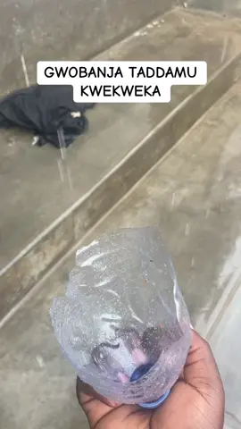 Gwobanja taddamu kwekweka#fyp #viral_video #foryoupage❤️❤️ #ugtiktok #freealienskin #postivevibes #ugandanstiktok 