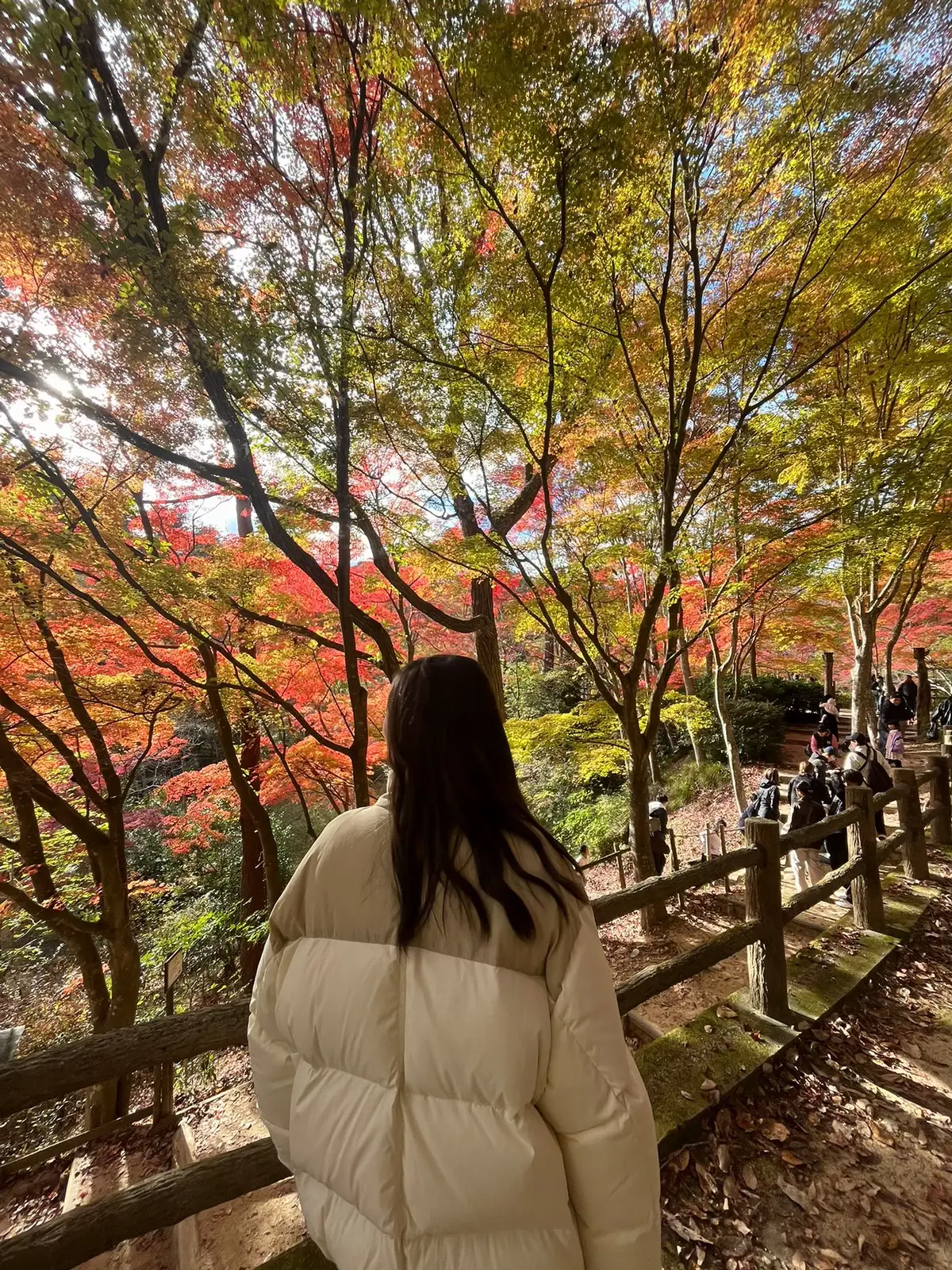 #森林植物園 #fyp 