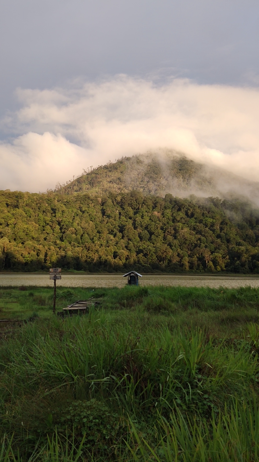 Tempat favorit bagi Pendaki Gunung Argopuro 🤩🌿, siapa sih yang ngga suka sama kemewahan Danau Taman Hidup Argopuro? #explorewisataprobolinggo #argopuro #tamanhidup #probolinggo