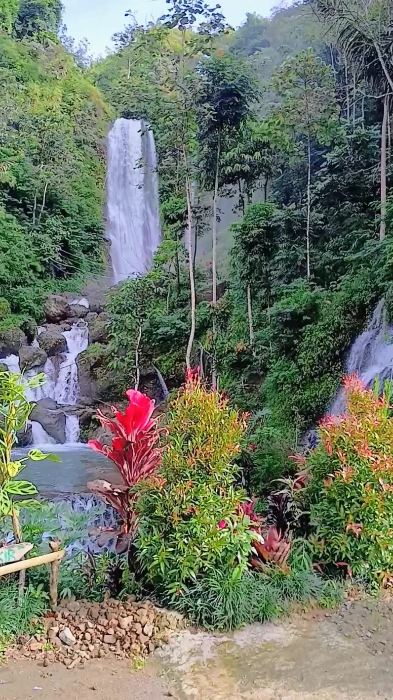 nuansa pagi hari di curug cikurutug #fypシ゚viral🖤tiktok #fypシ゚viral #abahdirga #duobocil 