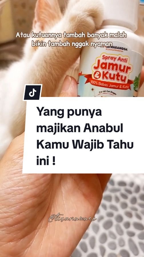 No way! drama ngereog lagi pake Spray Anti Jamur & Kutu. #cuantanpabatas #gebyarbelanjanovember #kucingkutuan #kucingjamuran #dewarangga #sprayantijamurdankutu