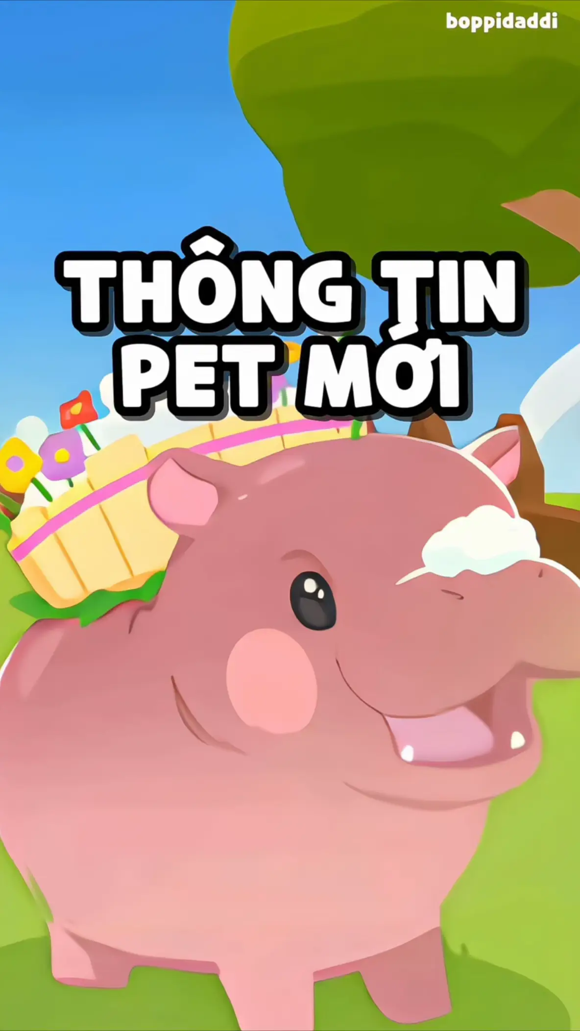 Thông tin pet và đào rương mới #boppidaddi #playtogether #reviewgamehay #GamingOnTikTok 