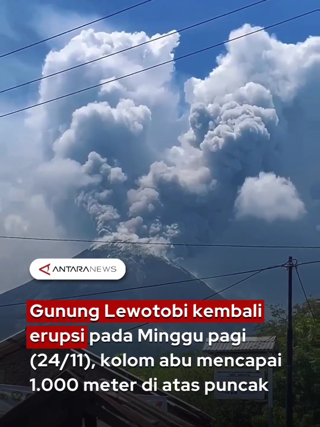 Gunung Lewotobi kembali erupsi pada Minggu pagi (24/11), kolom abu mencapai 1.000 meter di atas puncak #gunungmeletus #gununglewotobi #lewotobilakilaki #erupsi #ntt #florestimur #letusanlewotobi #bencanaalam #tiktokberita #fyp #longervideos 