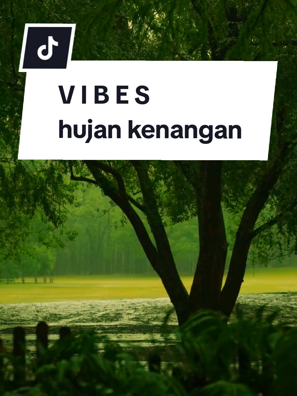 Bukankah Riuh Hujan Pernah Menyaksikan Dari Rasa Yang Pernah Ada Dan Saat Ini Hilang Tak Kembali..😌 #hujan #rain #keindahanalam #pemandanganalam #suasanahujan #vibes #nature #nostalgia #kenanganmasalalu #tenvibestory 