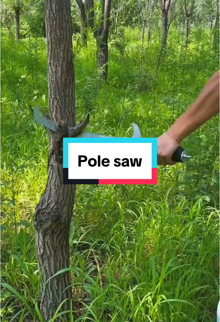 Pole saw#saw #fyp #foryour #foryour #garden #gardeningtools #walensee 