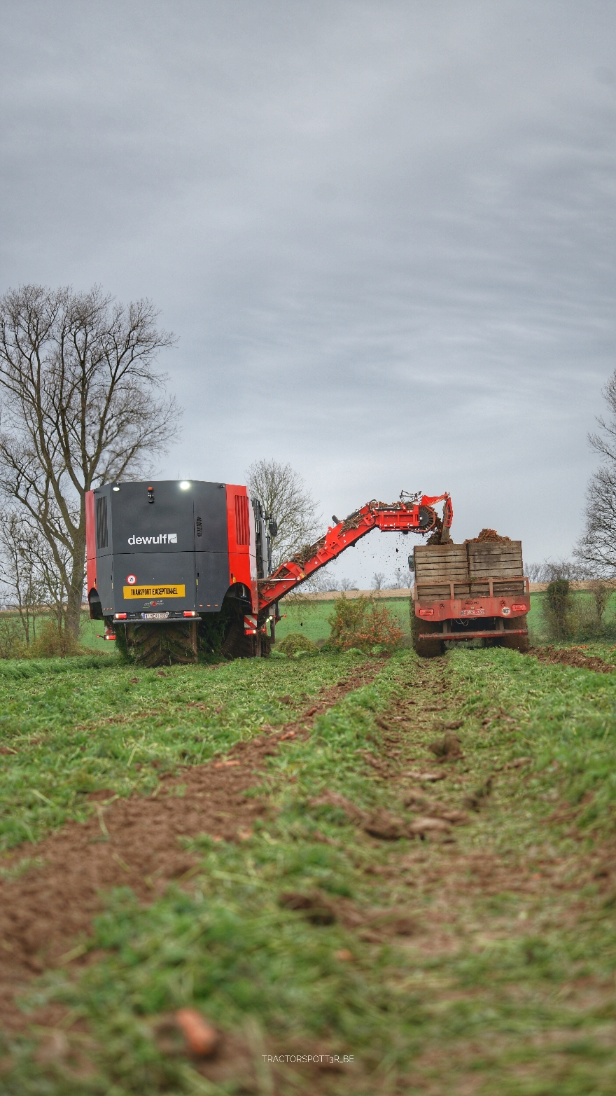 Carrot harvest under wet conditions. @Dewulf Group  #agriculture #agrartechnik #agricultureworldwide #agrar #dronevideo #djimini3pro #dji #drone #dewulf #dewulfgroup #dewulfzkiv #farming #farmers #fyp #harvester #harvest #harvest2024 #johndeerepower #johndeere #johndeere6r250 #landtechnik #landwirtschaft #carrots #carrotharvest #reelsinstagram #reeloftheday #reels #trending #trend #trendingreels #tractor #trendingaudio #video #viral #fyp 