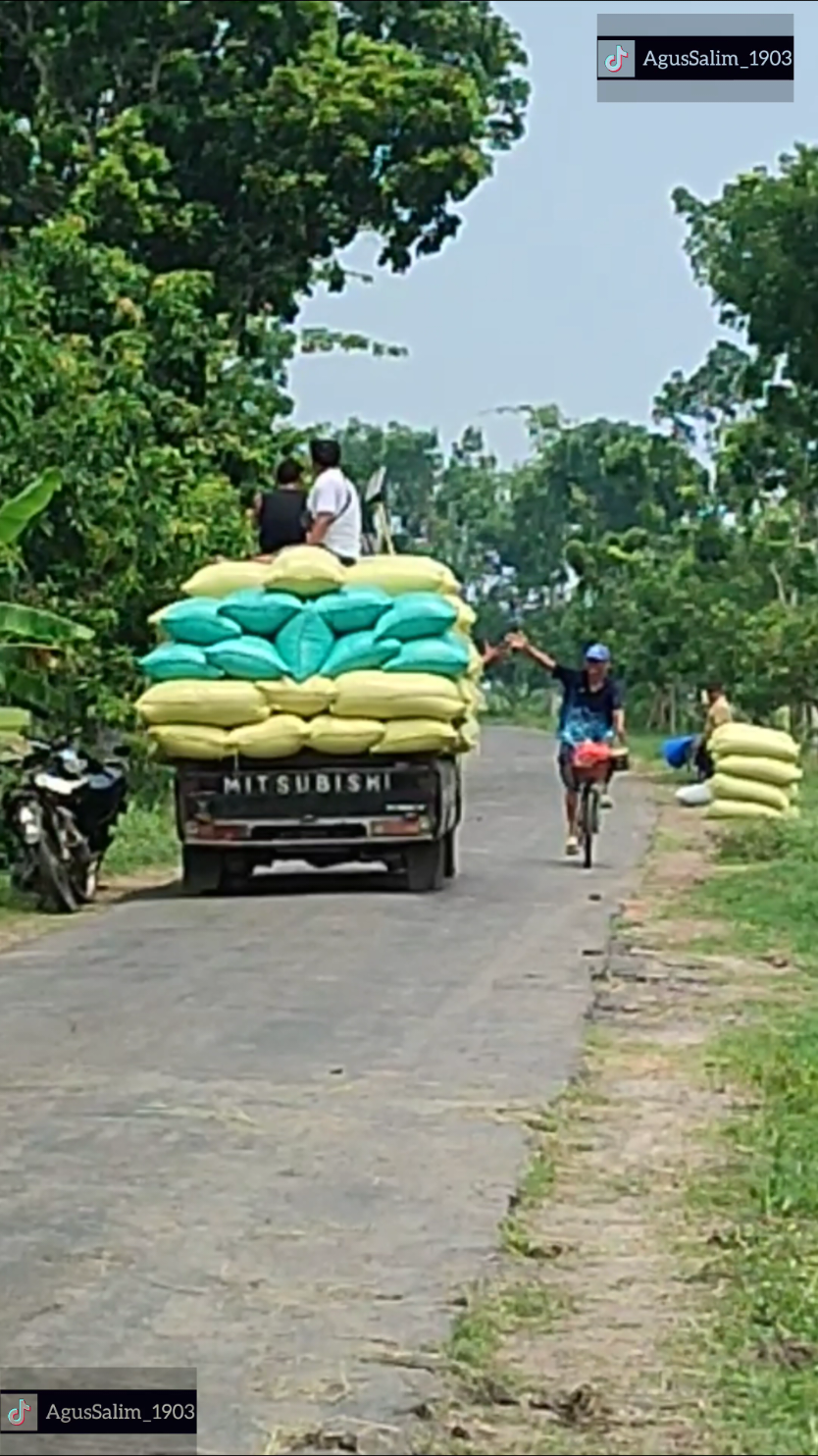 Dia sudah mati rasa Ketua..  🥺 #madiun24jam  #l300maniaindonesia  #bakulgabah  #trending  #fyp 